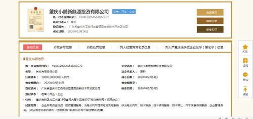 小鵬汽車深化產業布局 1億元設立新能源投資公司，分公司注冊同步啟動